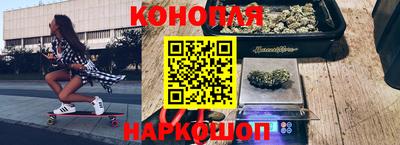 прущие грибы Можга