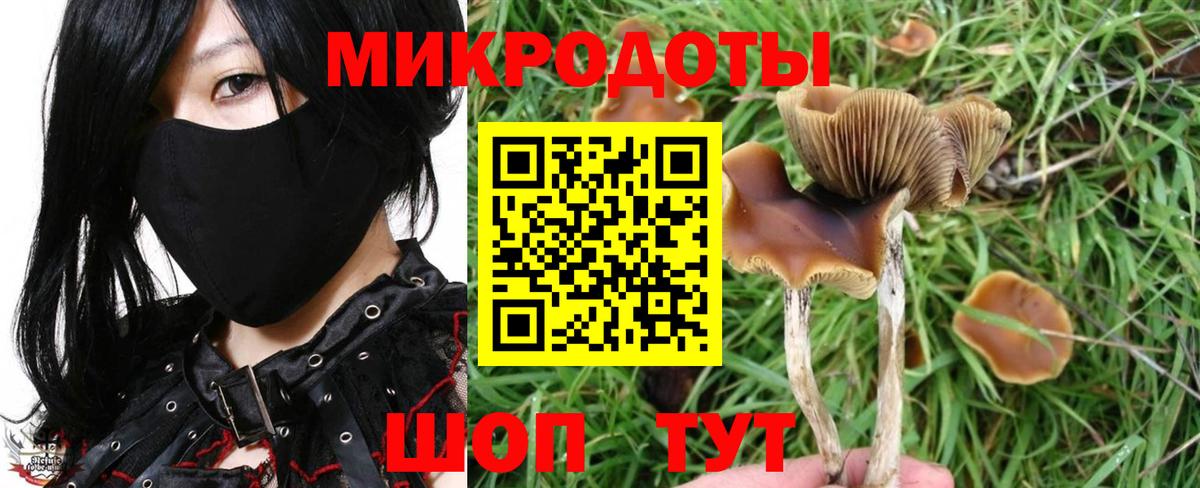 Псилоцибиновые грибы GOLDEN TEACHER  Вход с VPN  Топки 